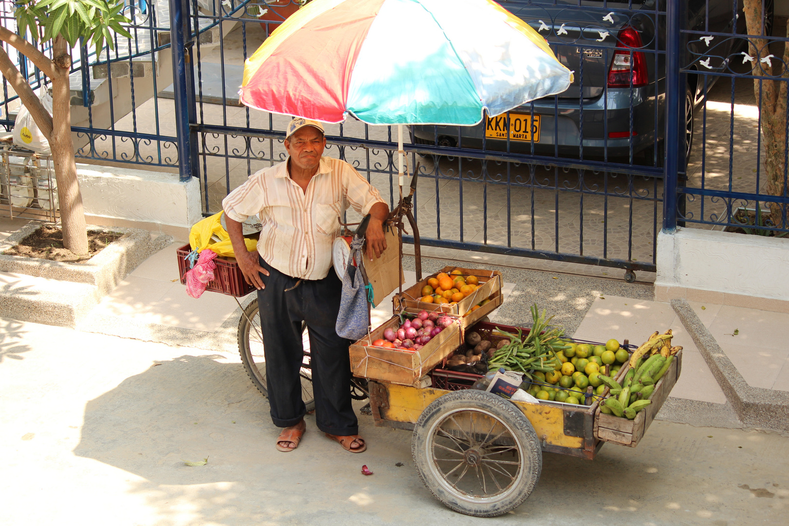 el vendedor de frutas