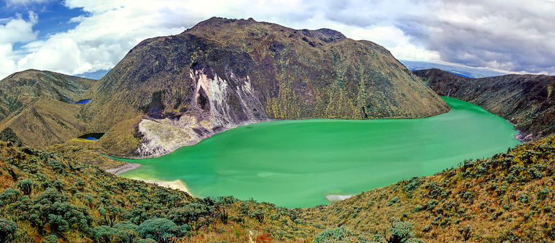 "El verde de todos los colores"