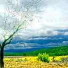 El viaje de las nubes