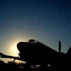 El viejo avión y la bandada de pájaros