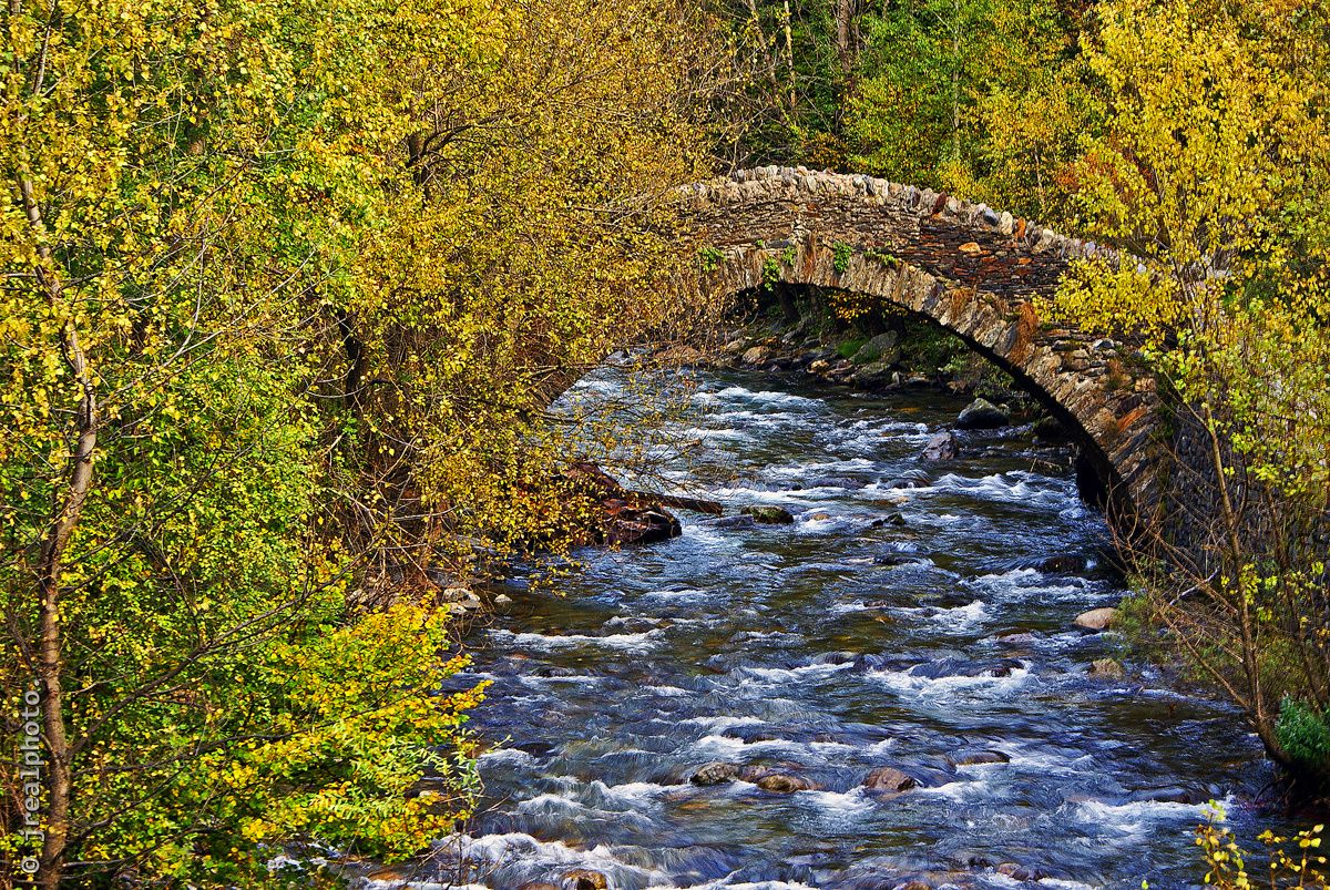 El viejo puente