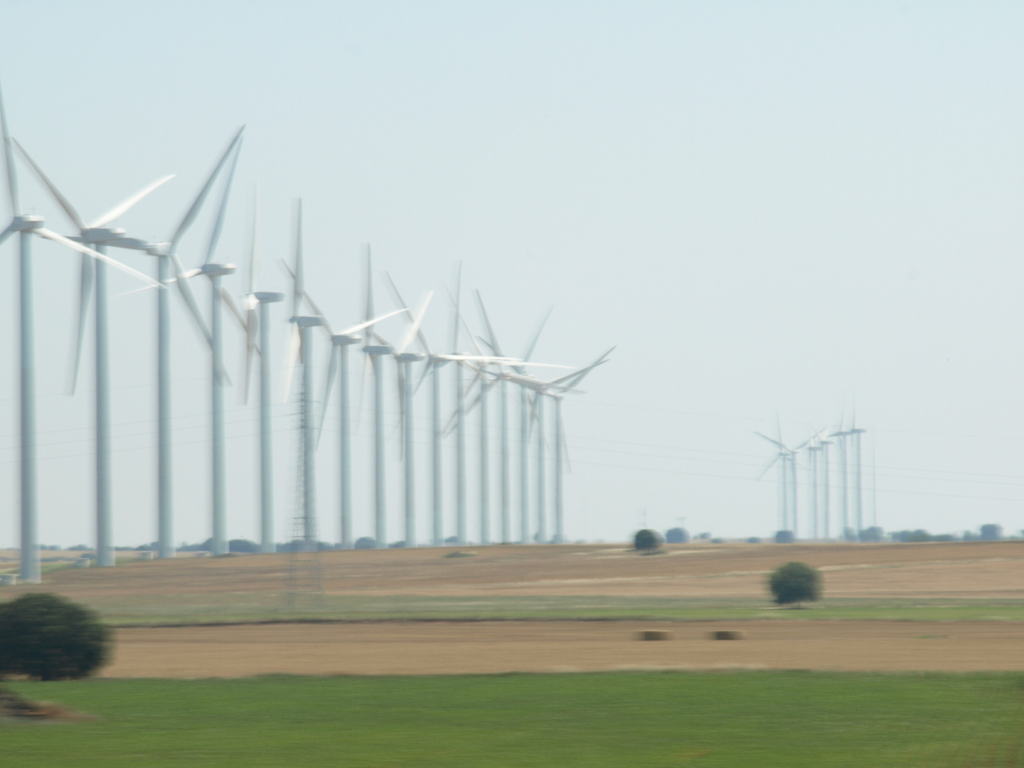 el viento