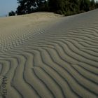 El Viento y La Arena