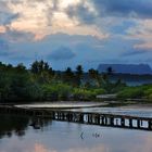 El Yunque