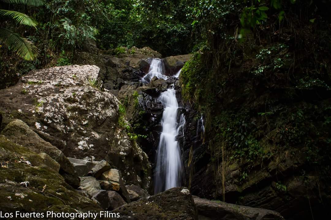 El Yunque PR