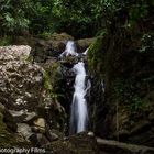 El Yunque PR