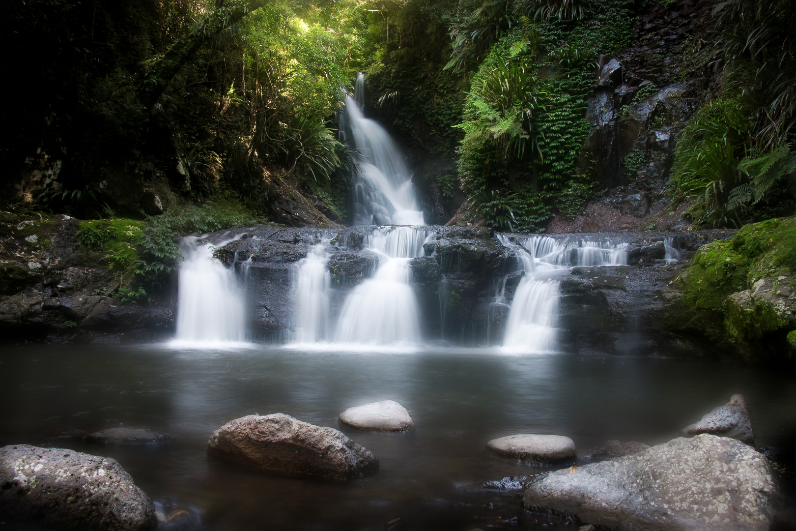 Elabana Falls - Lamington NP