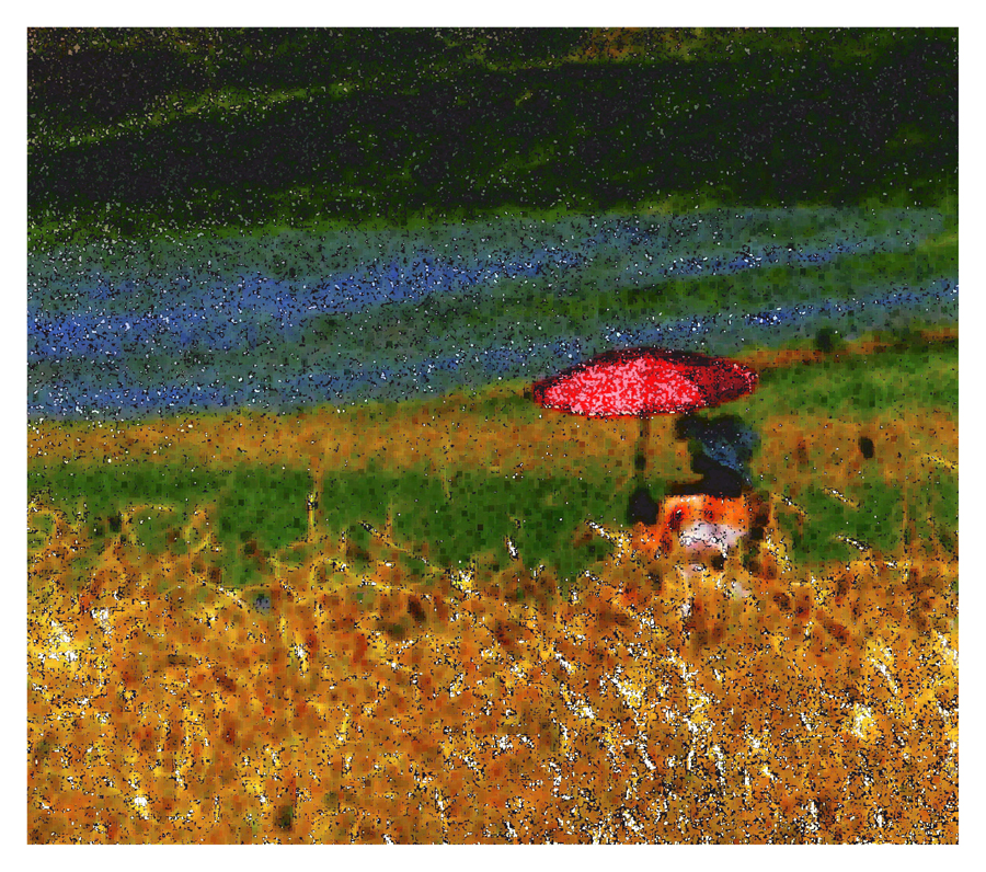 ELABORAZIONE DELLA FOTO castelluccio2015 Pantani238 Mini di FAUSTA FILIPPONI