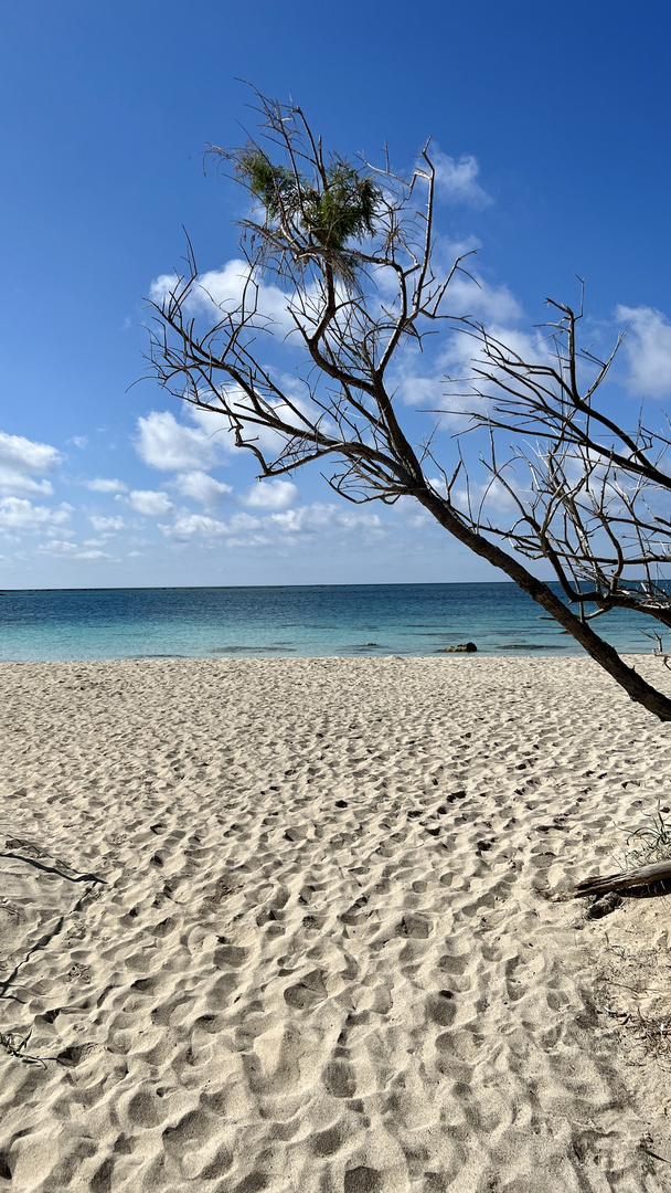 Elafonissi Beach