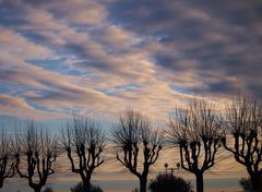 élan vers le ciel