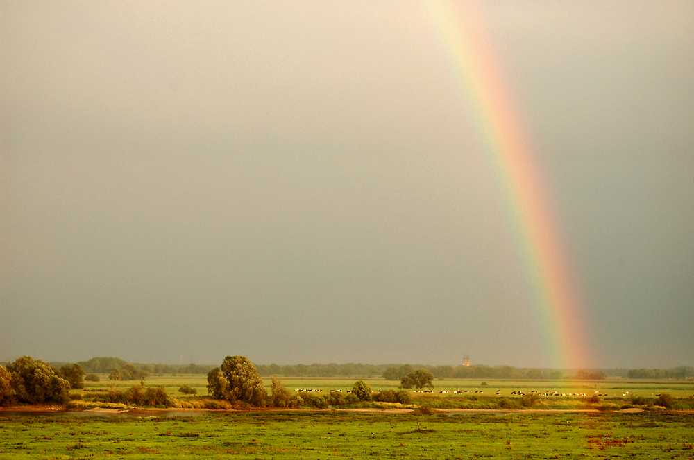 Elb-Aue unterm Regenbogen