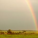 Elb-Aue unterm Regenbogen