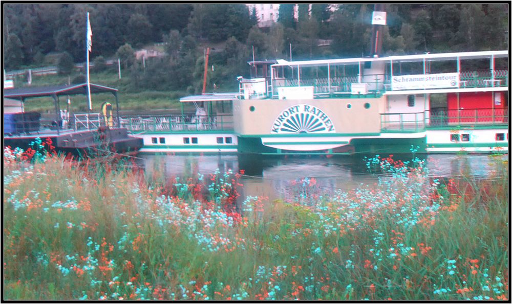 Elb-Blick - Bad Schandau