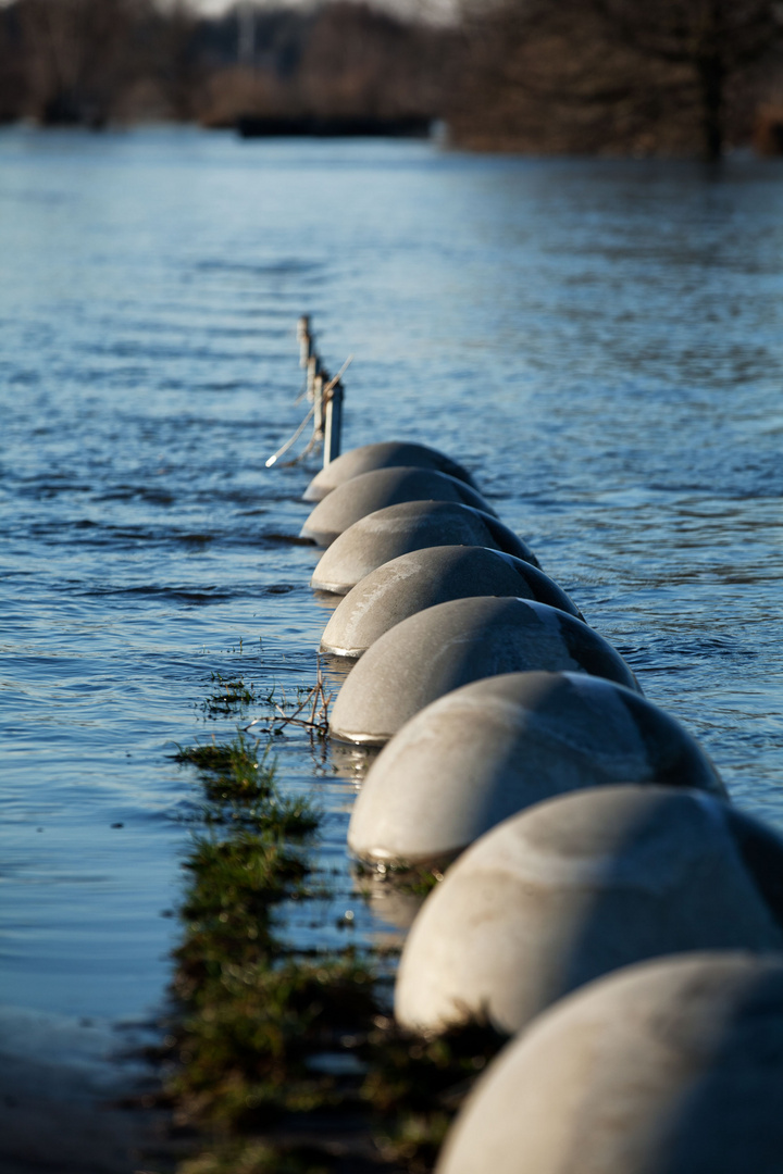 Elb-Hochwasser in Artlenburg