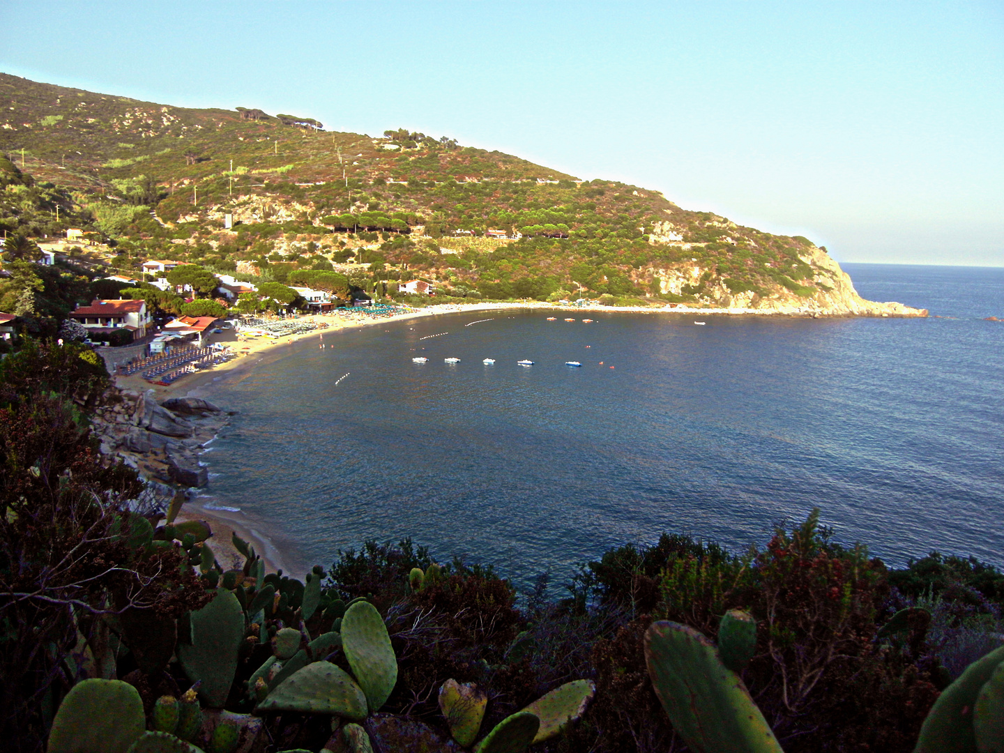 elba: Cavoli, che posto!!!