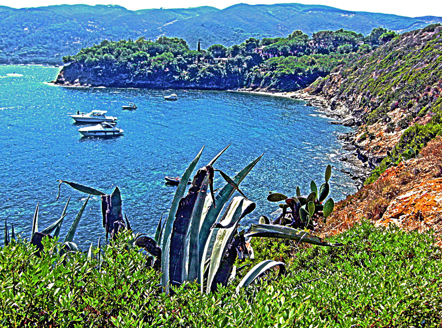 Elba: destinazione paradiso...