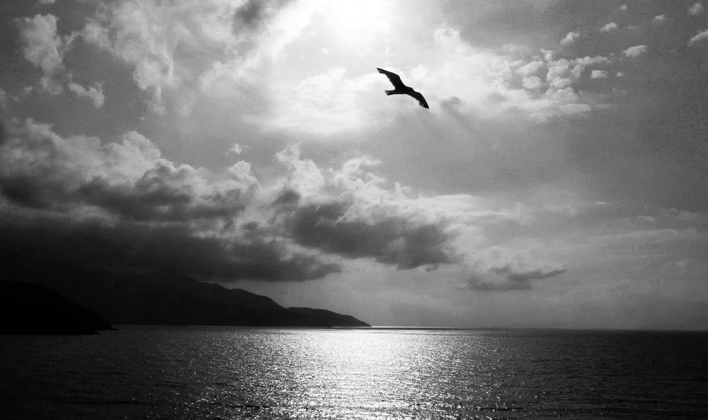 Elba - Fly away (bw)