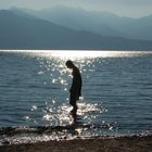 Elba, Strand von Enfola