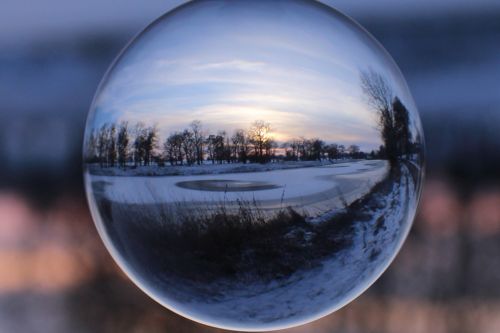 Elbarm im Schnee