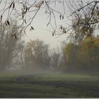 Elbaue im Morgengrauen