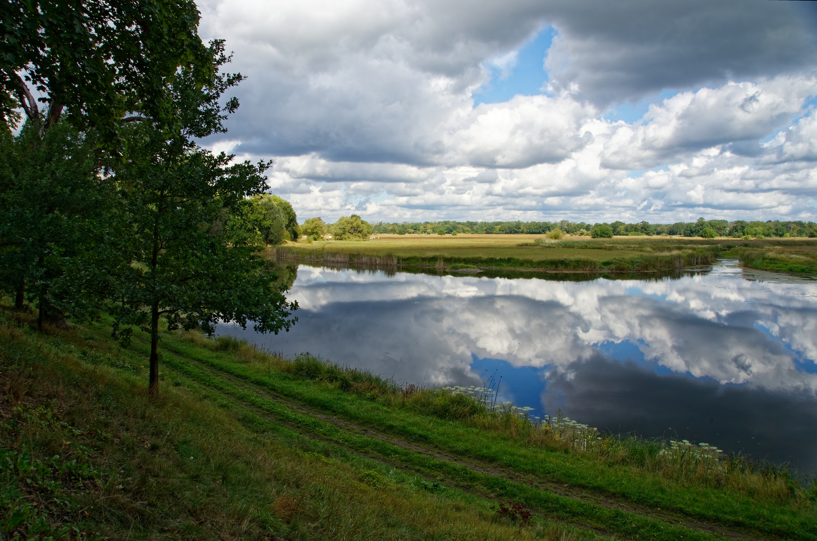 Elbauen zwischen Wörlitz und Coswig