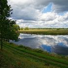 Elbauen zwischen Wörlitz und Coswig