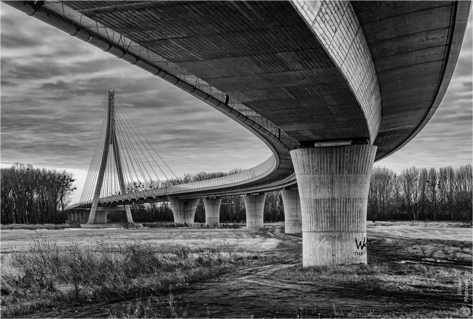 Elbauenbrücke