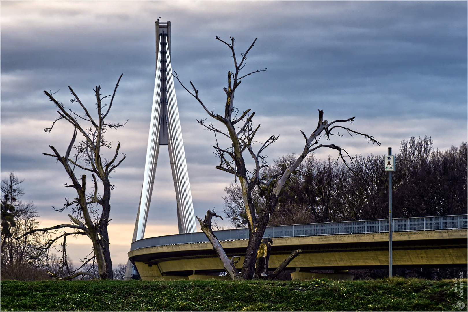 Elbauenbrücke