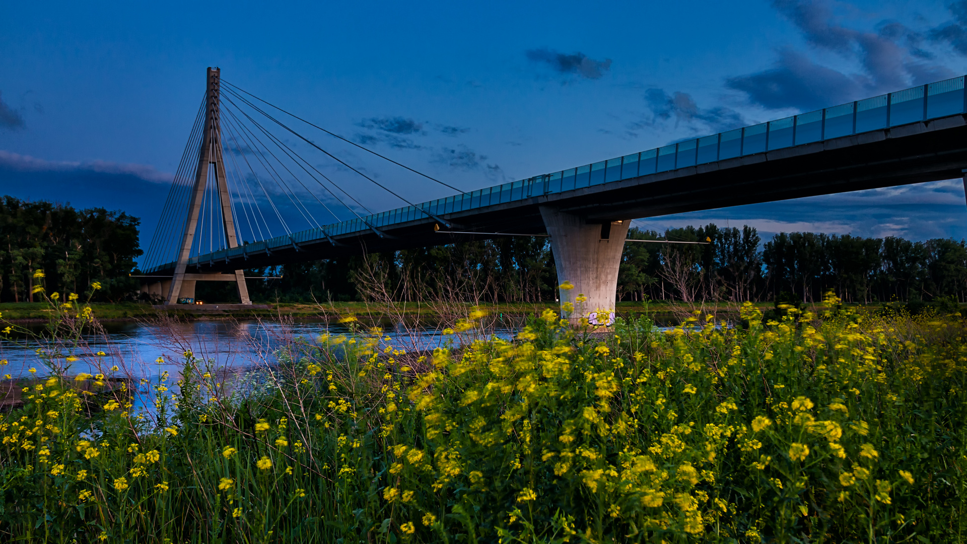 Elbauenbrücke Schönebeck