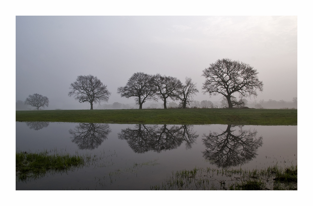 Elbauenlandschaft