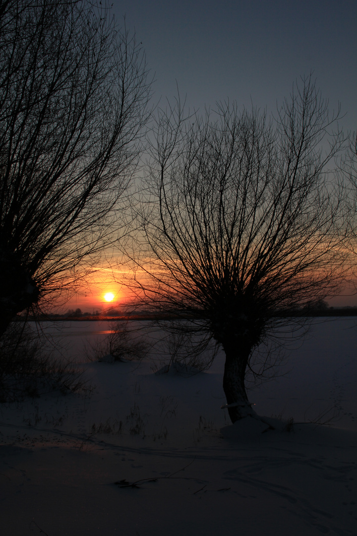 Elbauenlandschaft