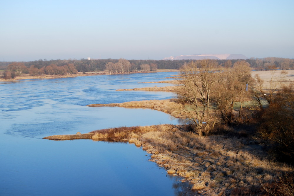 Elbauenlandschaft im Winter