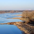 Elbauenlandschaft im Winter