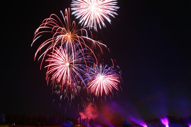 Elbauennacht in Magdeburg