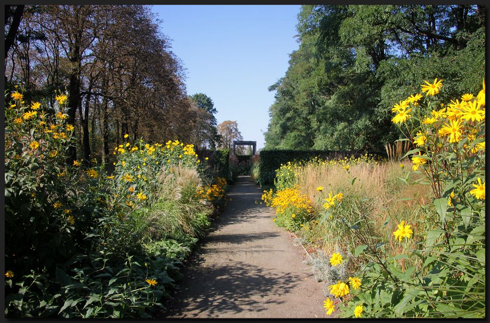 ...Elbauenpark Magdeburg...