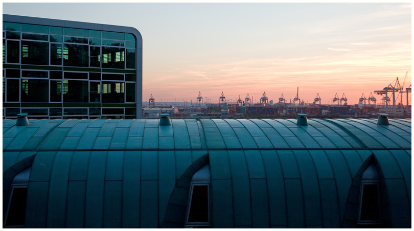 Elbberg Campus Altona - Dachkonstruktionen