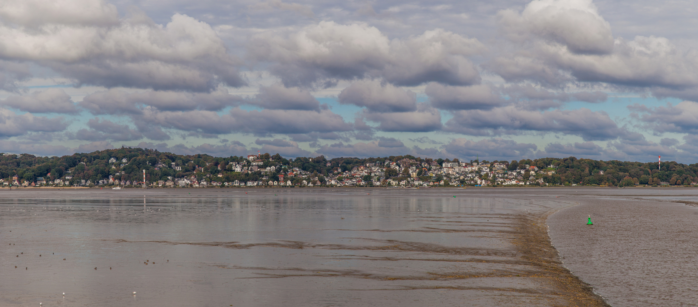 Elbblick auf Blankenese