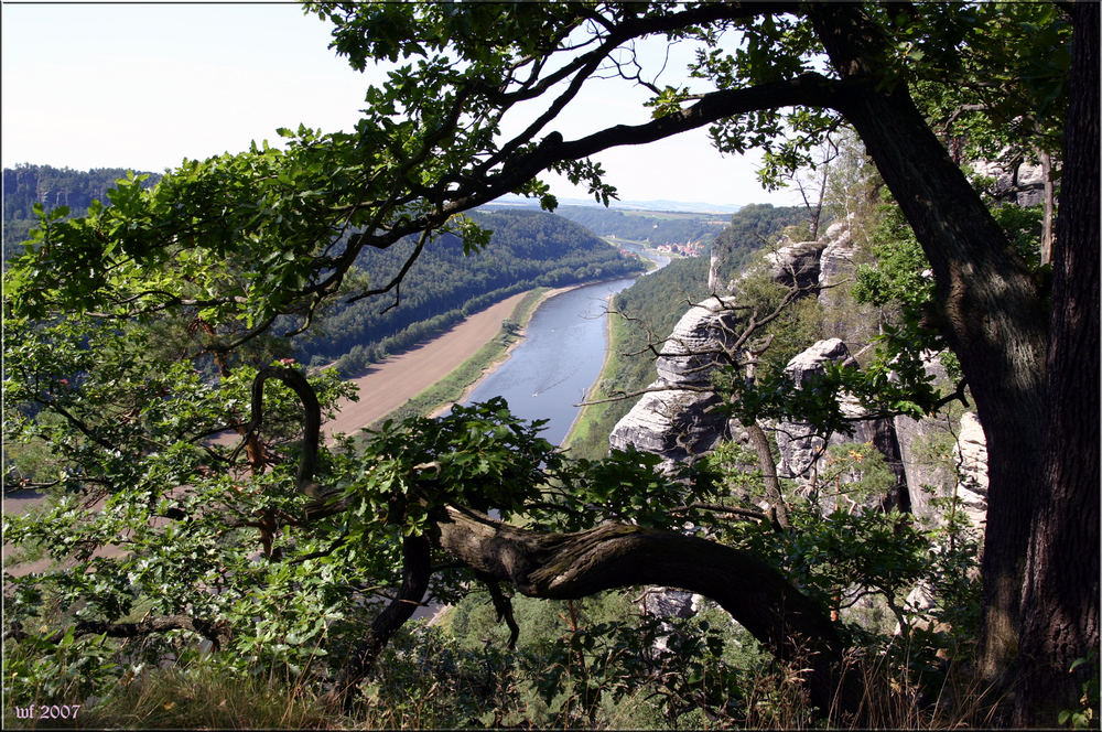 Elbblick auf Wehlen