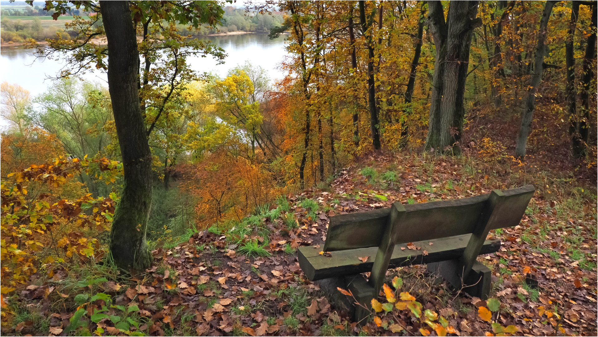 Elbblick  bei Hitzacker