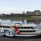 Elbblick Dresden