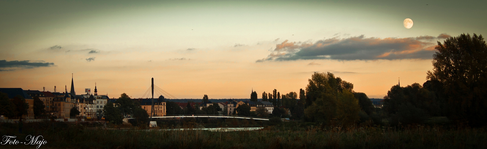 Elbblick Dresden