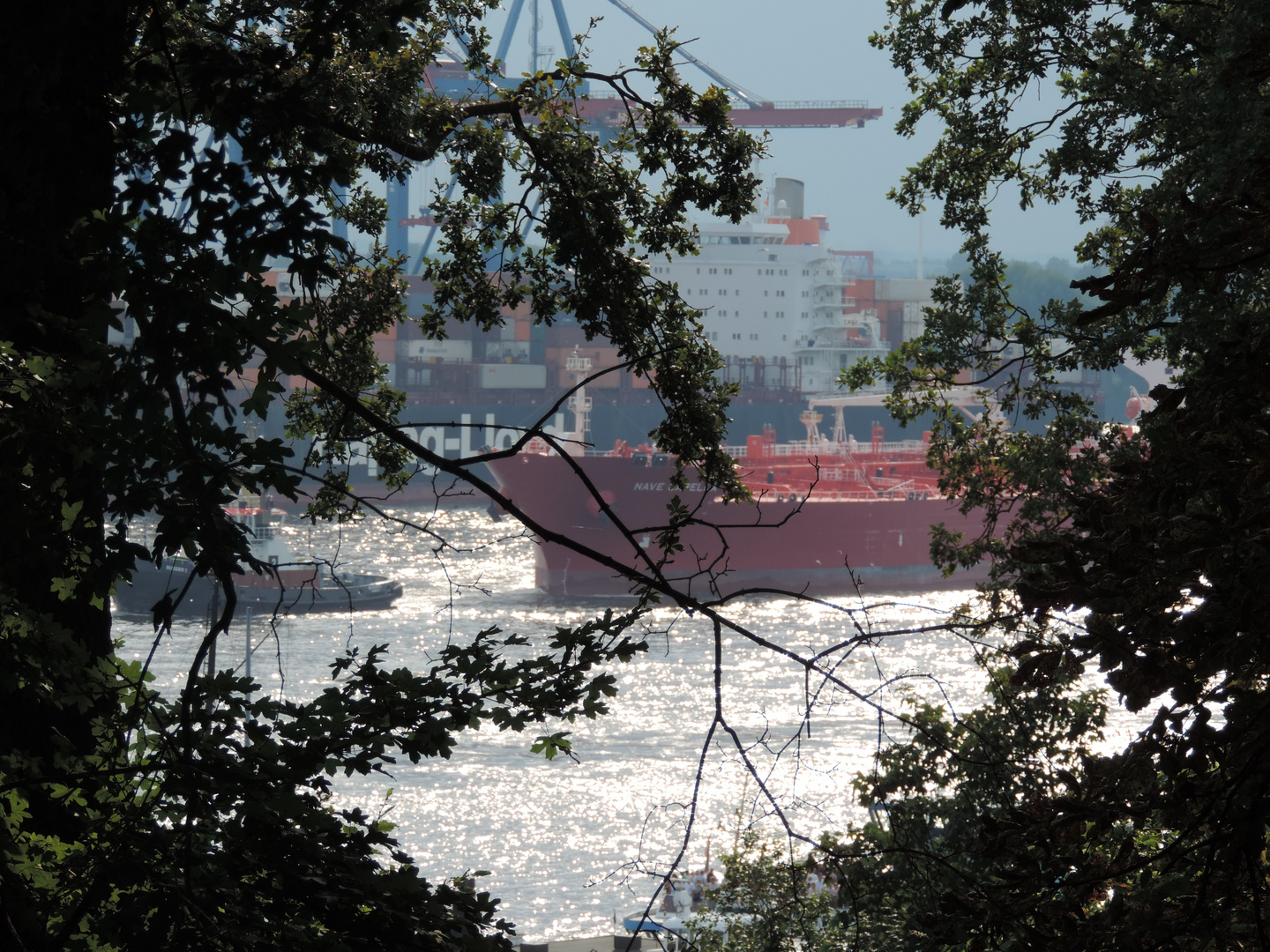 Elbblick in Hamburg