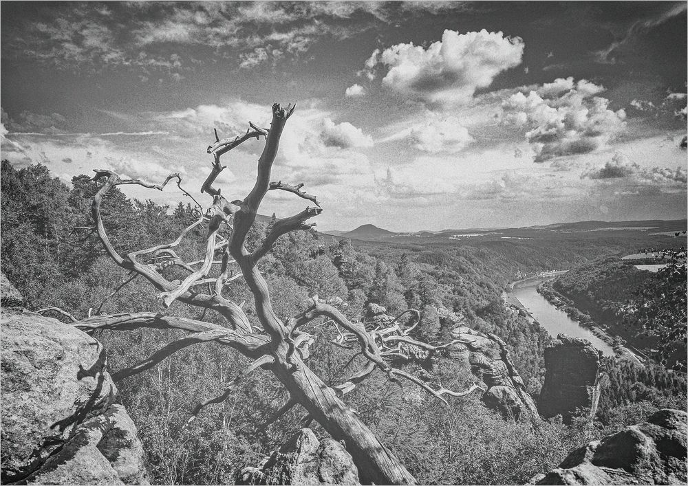 Elbblick mit Teufelsturm