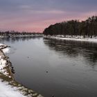 Elbbogen und Elbinsel beim Schloss Pillnitz