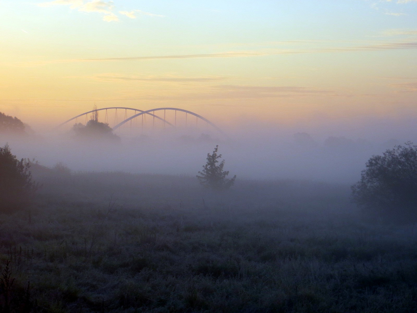 Elbbrücke im Frühnebel