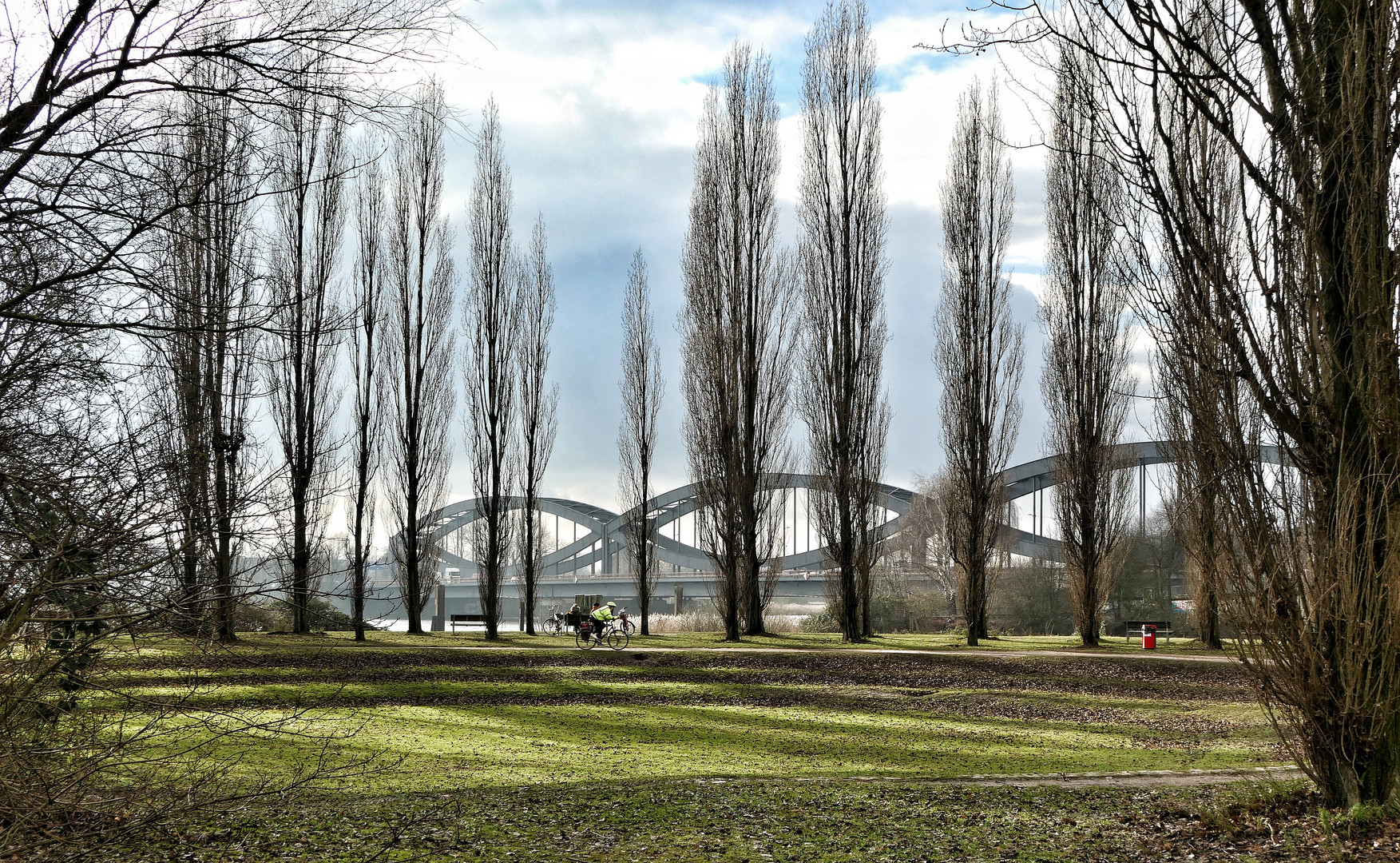 Elbbrücken Hamburg