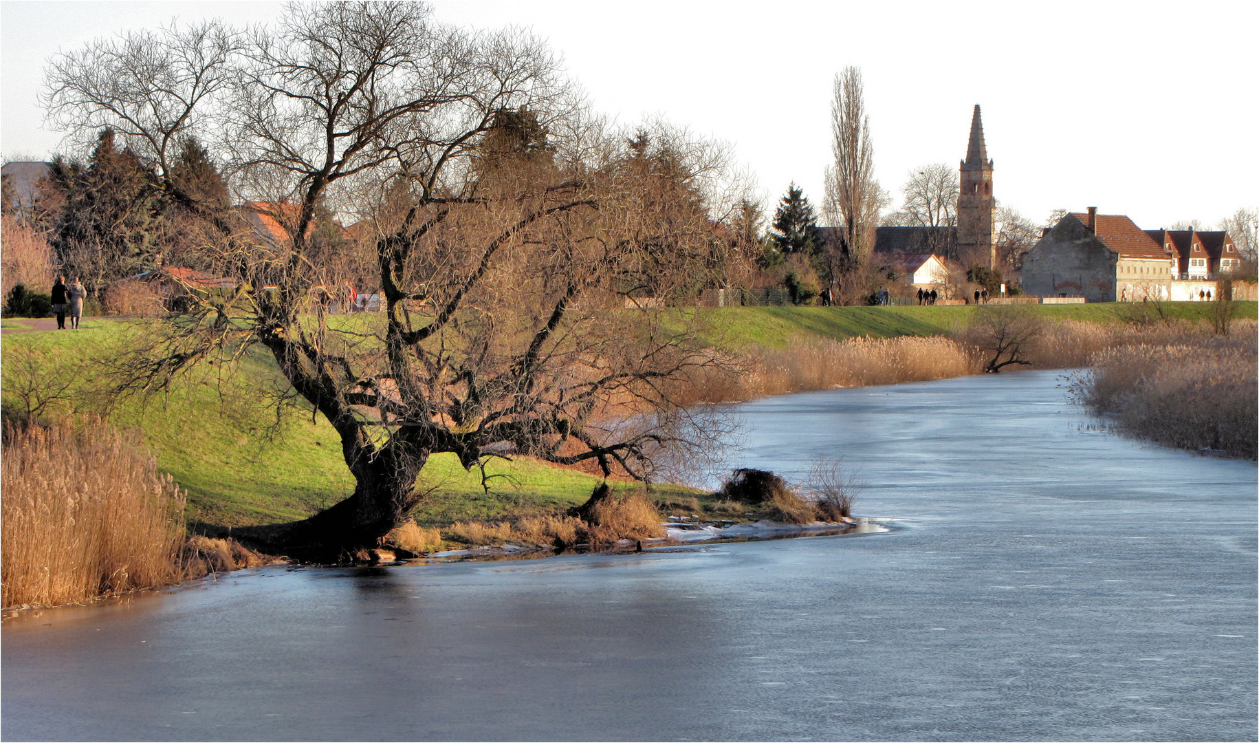 Elbdamm zwischen Magdeburg Cracau und Prester