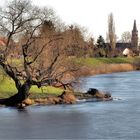 Elbdamm zwischen Magdeburg Cracau und Prester