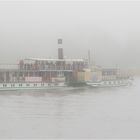 Elbdampfer im Nebel