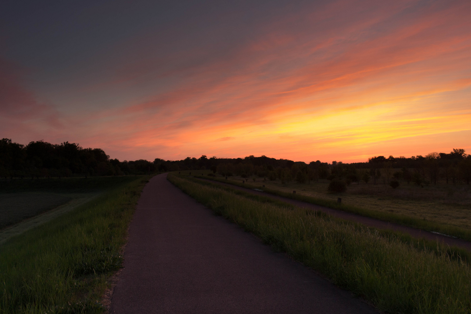 Elbdeich am Morgen (Glindenberg)